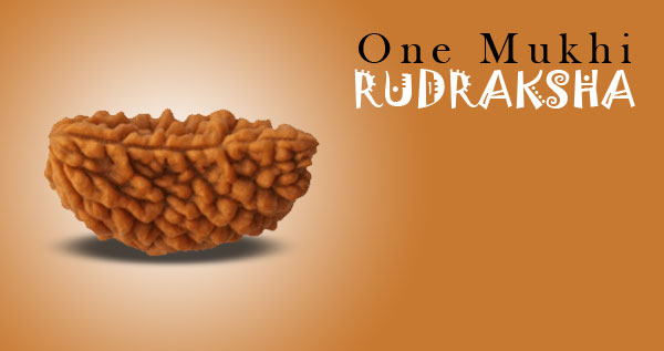 1 Mukhi Rudraksha