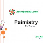 Palmistry (The Thumb)