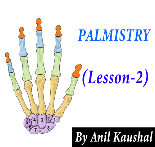 PALMISTRY LESSON-2