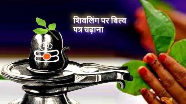 सावन 2025: शिवजी को अर्पित करें बिल्व पत्र, पाएं पापों से मुक्ति और शिव कृपा का सरल मार्ग
