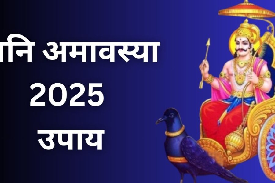 शनि अमावस्या के दिन जरुर कर लें ये उपाय, नौकरी और व्यापार में मिलेगी तरक्की