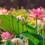 “Queen of Herbs & More”| तुलसी से पीपल तक: जानें ये 7 पवित्र पौधे और उनका आध्यात्मिक महत्व